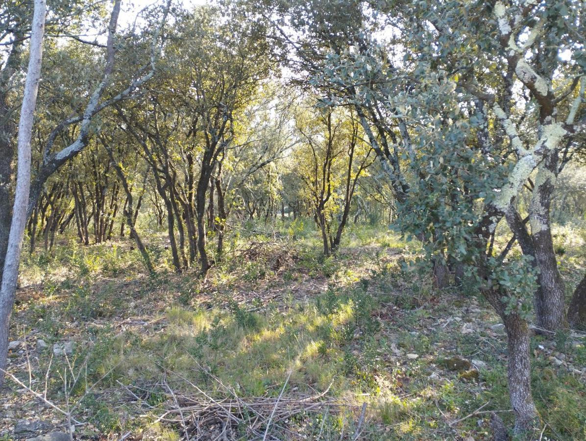 Appartamento L'Atelier Des Reves La Roque-sur-Cèze Esterno foto